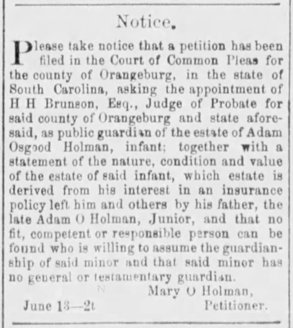1900 Notice of guardianship for Adam O Holman III infant